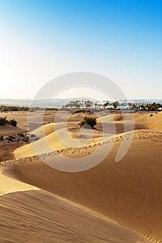 Maspalomas sand dunes