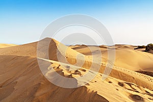 Maspalomas sand dunes