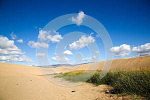 Maspalomas sand dunes photo