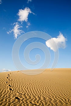 Maspalomas sand dunes photo