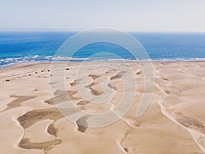 Maspalomas sand dunes, Gran Canaria beach, Spain