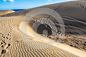 Maspalomas Sand Dunes on the south coast of the island of Gran Canaria, Canary Islands, Spain