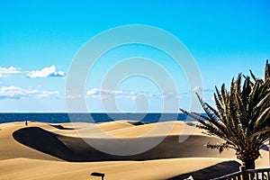 Maspalomas Sand Dunes on the south coast of the island of Gran Canaria, Canary Islands, Spain