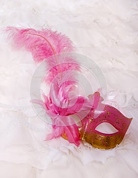 Masquerade mask with feather