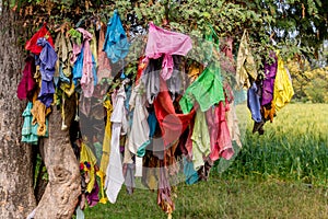 mass of colorful ribbons and cloths on a tree in india photo