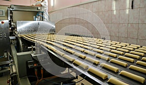 Mass production of bread rolls in an industrial bakery conveyor belt