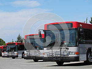 Mass Transit City Buses Parked photo