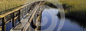 Massaciuccoli photo