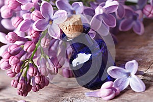 Massage oil from fragrant lilac flowers macro