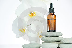 Massage oil and massage stones. glass bottle with massage oil on gray stones and orchid flower on white background.Spa