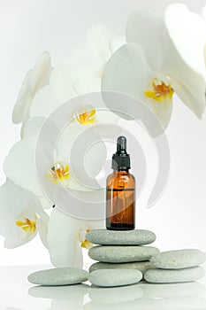 Massage oil and stones.Brown glass bottle with massage oil on gray stones and orchid flower on white background.Spa and