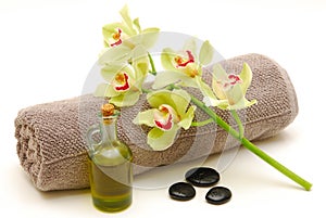 Massage still life isolated