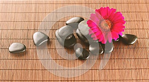 Massage stones with flower on mat