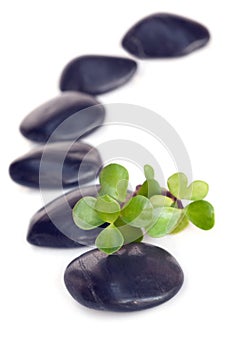 Massage Stones with Jade