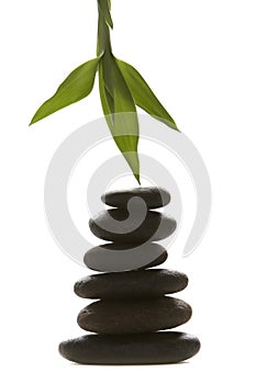 Massage therapy stones and green bamboo leaf