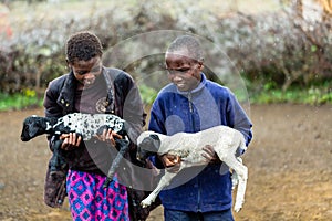 Massai children carrying goats in the rain