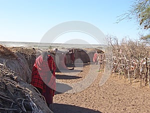 Massai hut village photo