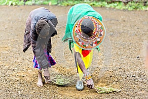 Massai women sweeping the floor doing chores