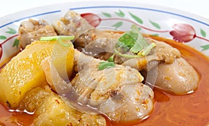 Massaman curry made with chicken photo