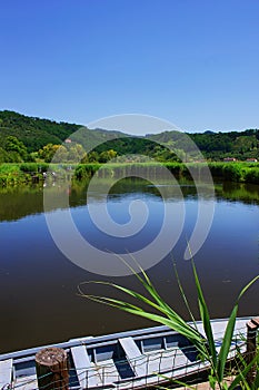 Massarosa il lago e la barca photo