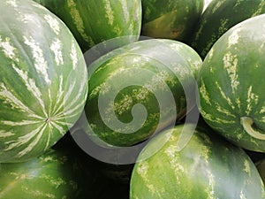 Massed watermelons. Summer fruit. Italy