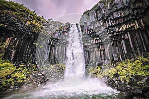 Masses of water cascade down the Skaftafell waterfall along gray basalt columns.