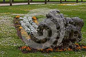 Massif Flowers in a Garden Public Park