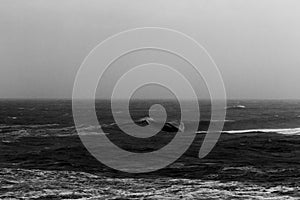 Massive Barrel Wave Breaking on Shallow Reef During Storm