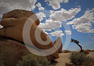 Massive Boulders at Jumbo Rocks Campground, Joshua Tree National Park, California