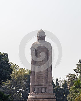 massive buddha statue view from different perspective in daylight