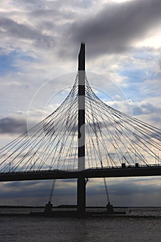 Massive cable-stayed bridge side construction