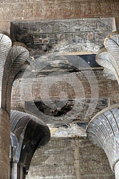 Massive columns of the hypostyle hall of the Temple of  Edfu