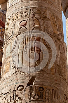Massive columns after reconstruction inside beautiful Egyptian temple in Luxor with hieroglyphics, and ancient symbols. Karnak