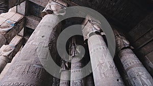 Massive Columns In The Temple Of Dendera