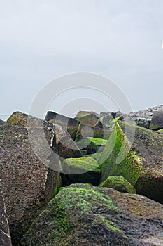 Massive concrete breakwaters on Sea coast. protect the coast from destructive effects of sea waves