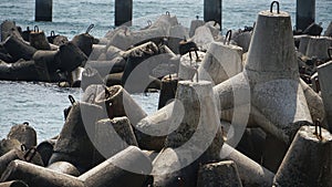 Massive concrete tetrapods form in the blue water sea