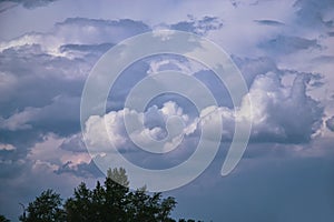 Massive cumulus clouds in an overcast sky and tree foliage silhouette