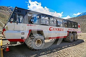 Massive Ice Explorers, specially designed for glacial travel, take tourists onto the surface of the Athabasca Glacier