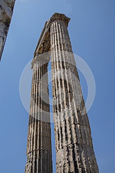 Massive Ionian stone columns
