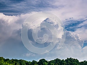 Massive rain cloud, Cumulus congestus, in the blue sky over the treetops