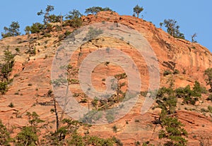 Massive Red Rock In Zion National Park