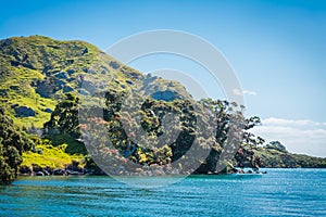 Massive rock formation covered with grass and pohutukawa trees at Smugglers Bay