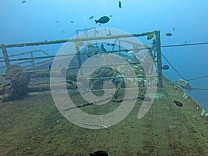 Massive shipwreck, sits on a sandy seafloor in bali