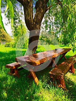 Massive wood table under a tree