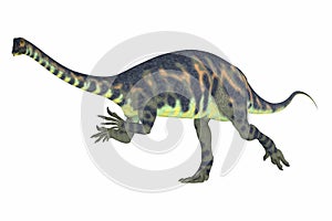 Massospondylus Dinosaur Running from the Jurassic Age photo