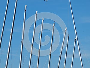Mast Poles at a Marina in Drydock