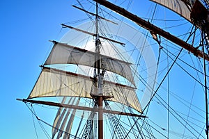 Mast, sails and rigging.