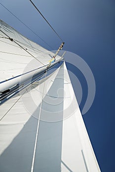 Mast Of The Yacht