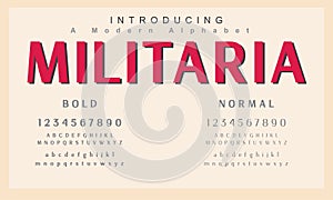Militaria font. Abstract minimal modern alphabet fonts photo