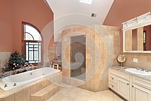 Master bath in luxury home